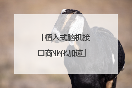 植入式脑机接口商业化加速