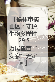 榆林市横山区：守护生物多样性 29.5万尾鱼苗“安家”无定河