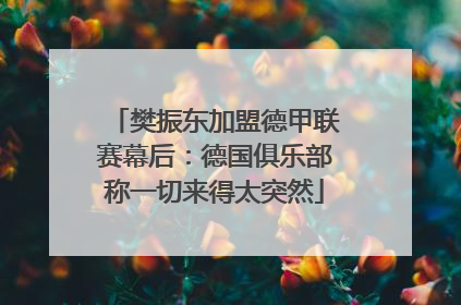 樊振东加盟德甲联赛幕后：德国俱乐部称一切来得太突然