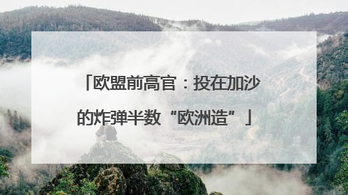 欧盟前高官：投在加沙的炸弹半数“欧洲造”