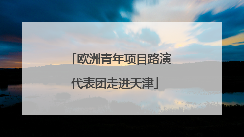 欧洲青年项目路演代表团走进天津