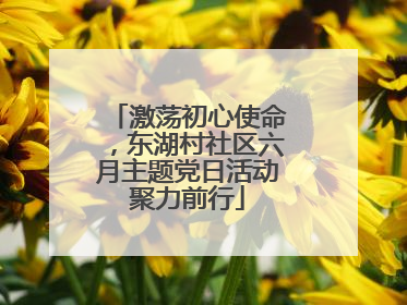 激荡初心使命，东湖村社区六月主题党日活动聚力前行