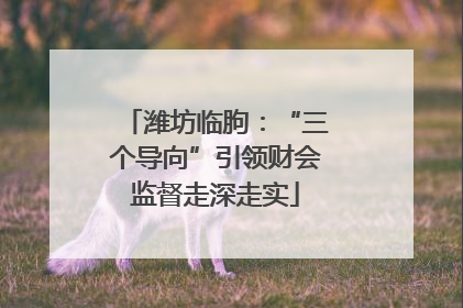 潍坊临朐：“三个导向”引领财会监督走深走实
