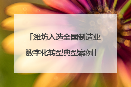 潍坊入选全国制造业数字化转型典型案例