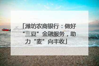 潍坊农商银行：做好“三夏”金融服务，助力“麦”向丰收