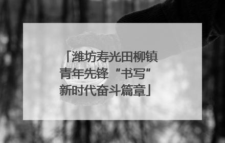 潍坊寿光田柳镇青年先锋“书写”新时代奋斗篇章