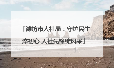 潍坊市人社局：守护民生淬初心 人社先锋绽风采