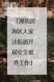 潍坊滨海区大家洼街道开展安全巡查工作