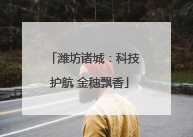 潍坊诸城：科技护航 金穗飘香