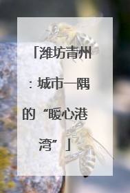 潍坊青州：城市一隅的“暖心港湾”