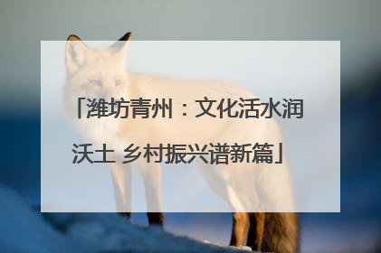 潍坊青州：文化活水润沃土 乡村振兴谱新篇