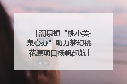 潮泉镇“桃小美·泉心办”助力梦幻桃花源项目扬帆起航