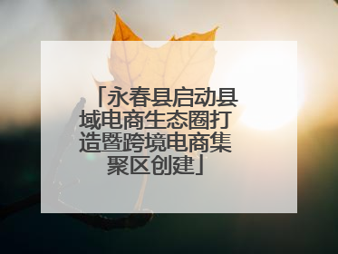 永春县启动县域电商生态圈打造暨跨境电商集聚区创建