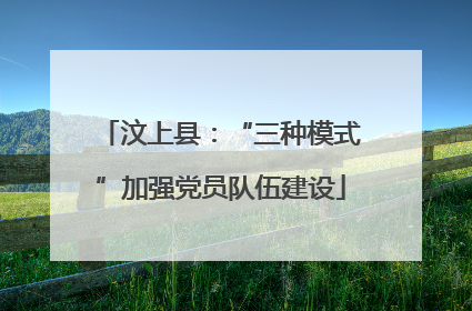 汶上县：“三种模式”加强党员队伍建设
