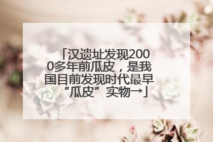 汉遗址发现2000多年前瓜皮，是我国目前发现时代最早“瓜皮”实物→