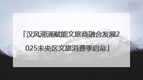 汉风潮涌赋能文旅商融合发展2025未央区文旅消费季启幕