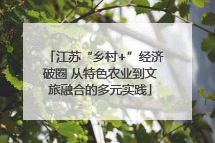 江苏“乡村+”经济破圈 从特色农业到文旅融合的多元实践