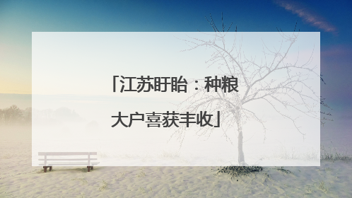 江苏盱眙：种粮大户喜获丰收