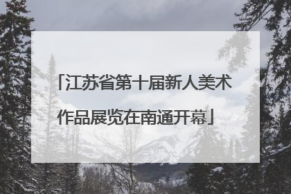 江苏省第十届新人美术作品展览在南通开幕