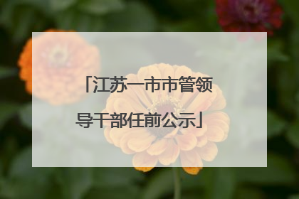 江苏一市市管领导干部任前公示