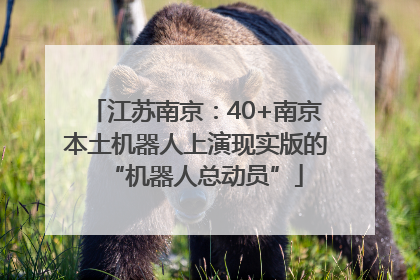 江苏南京：40+南京本土机器人上演现实版的“机器人总动员”