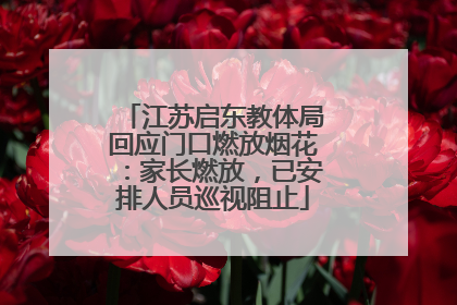 江苏启东教体局回应门口燃放烟花：家长燃放，已安排人员巡视阻止