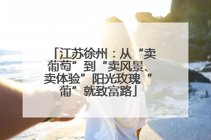 江苏徐州：从“卖葡萄”到“卖风景、卖体验”阳光玫瑰“葡”就致富路