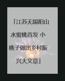 江苏无锡阳山水蜜桃首发 小桃子做出乡村振兴大文章
