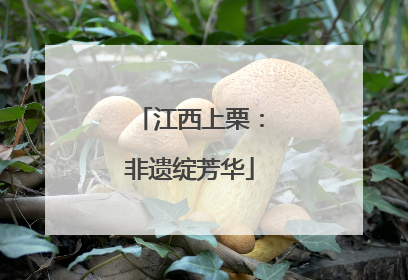 江西上栗：非遗绽芳华