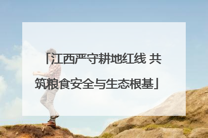 江西严守耕地红线 共筑粮食安全与生态根基