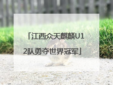 江西众天麒麟U12队勇夺世界冠军