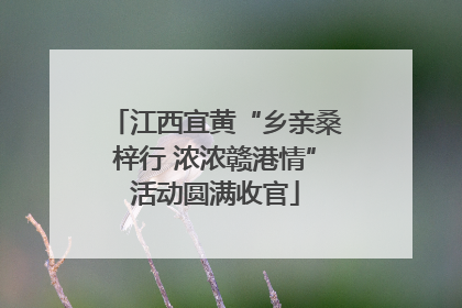 江西宜黄“乡亲桑梓行 浓浓赣港情”活动圆满收官