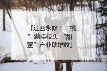江西永修：“桃”满挂枝头 “甜蜜”产业助增收