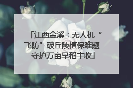 江西金溪：无人机“飞防”破丘陵植保难题 守护万亩早稻丰收