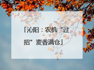 沁阳：农机“过招”麦香满仓