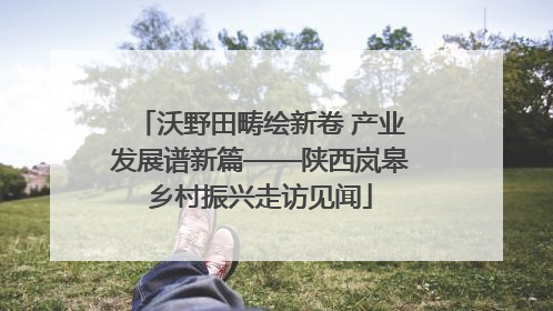 沃野田畴绘新卷 产业发展谱新篇——陕西岚皋乡村振兴走访见闻