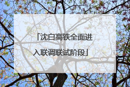 沈白高铁全面进入联调联试阶段