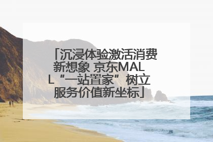 沉浸体验激活消费新想象 京东MALL“一站置家”树立服务价值新坐标