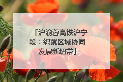沪渝蓉高铁沪宁段：织就区域协同发展新纽带