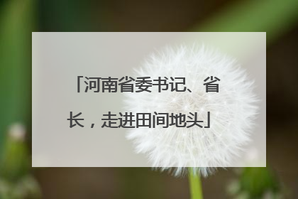 河南省委书记、省长，走进田间地头