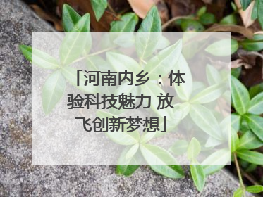 河南内乡：体验科技魅力 放飞创新梦想