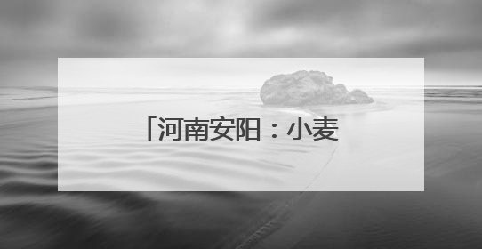 河南安阳：小麦收获基本结束