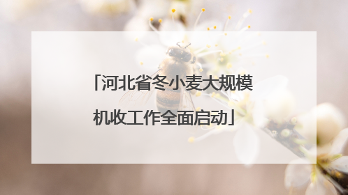 河北省冬小麦大规模机收工作全面启动