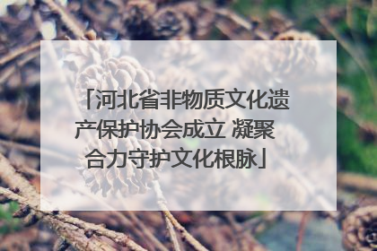 河北省非物质文化遗产保护协会成立 凝聚合力守护文化根脉