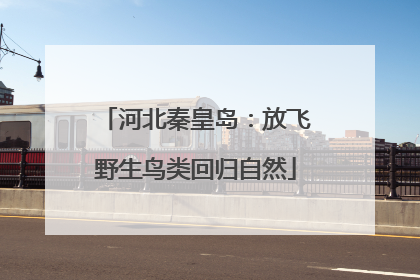 河北秦皇岛：放飞野生鸟类回归自然
