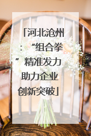 河北沧州：“组合拳”精准发力 助力企业创新突破