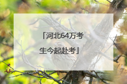 河北64万考生今起赴考