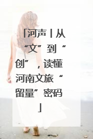 河声丨从“文”到“创”，读懂河南文旅“留量”密码