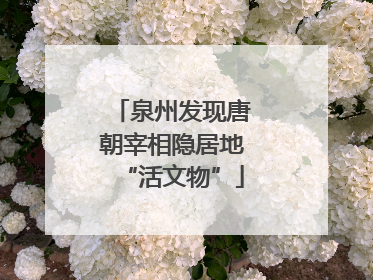 泉州发现唐朝宰相隐居地“活文物”
