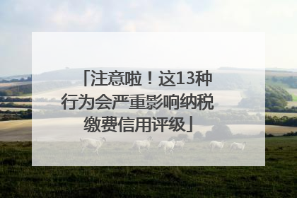 注意啦！这13种行为会严重影响纳税缴费信用评级